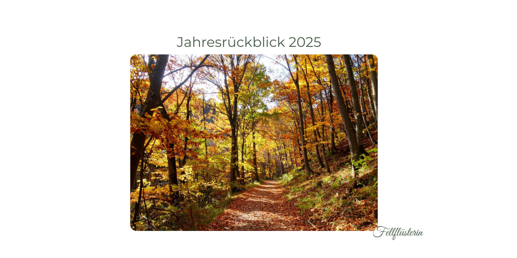 jahresrueckblick-2025-jpg