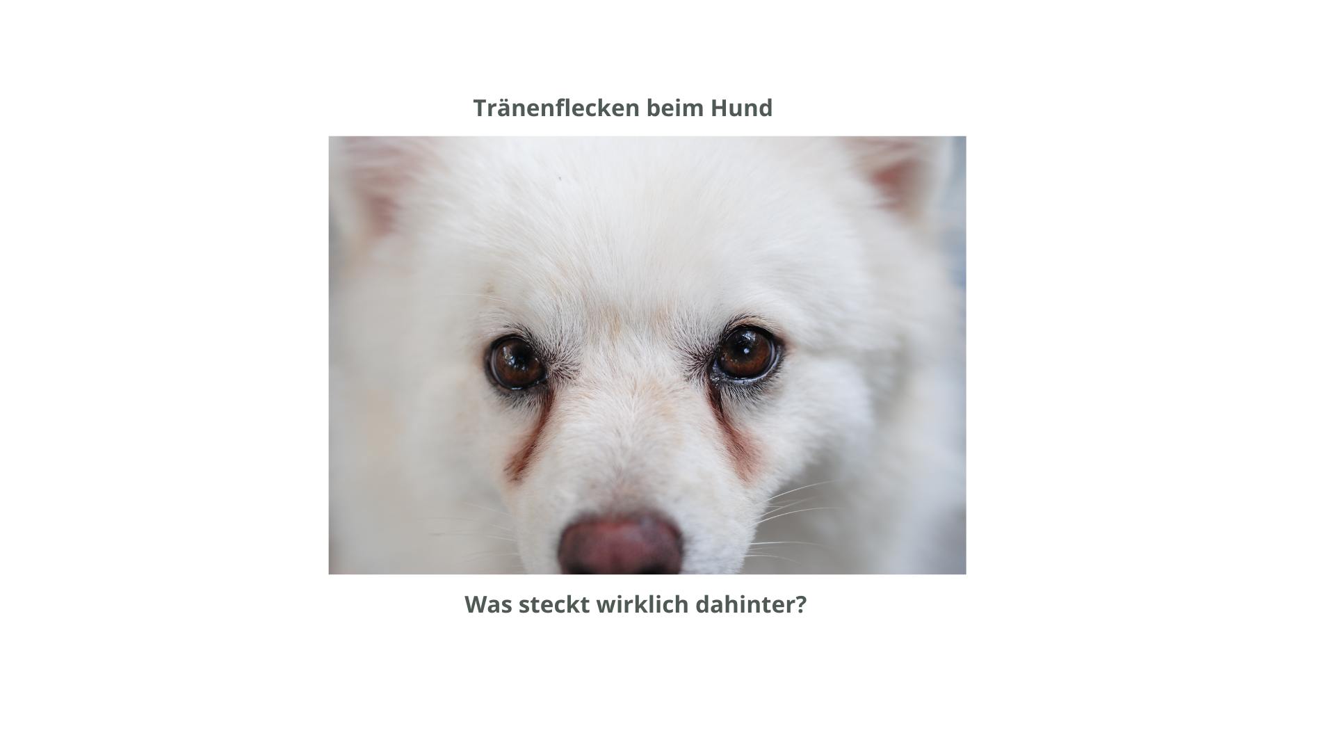 Was steckt wirklich dahinter